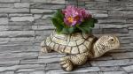 želva,keramický květináč