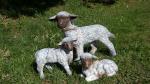 skupina oveček,keramická zahradní dekorace